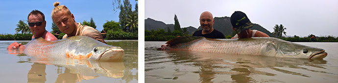 fishing thailand