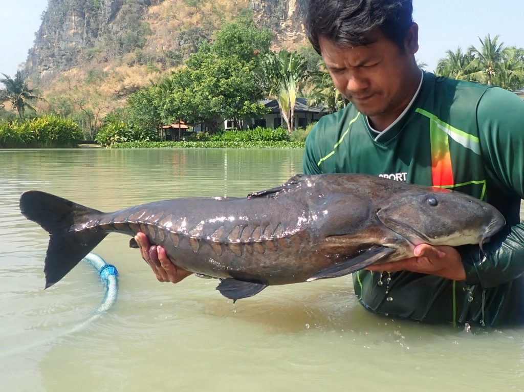 Fishing in Thailand - January 2021 15