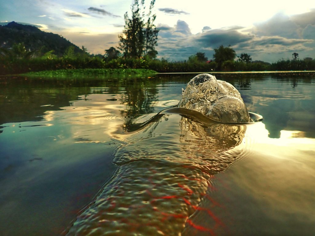 Fishing in Thailand - August 2020 23 Fishing in Thailand - August 2020 23